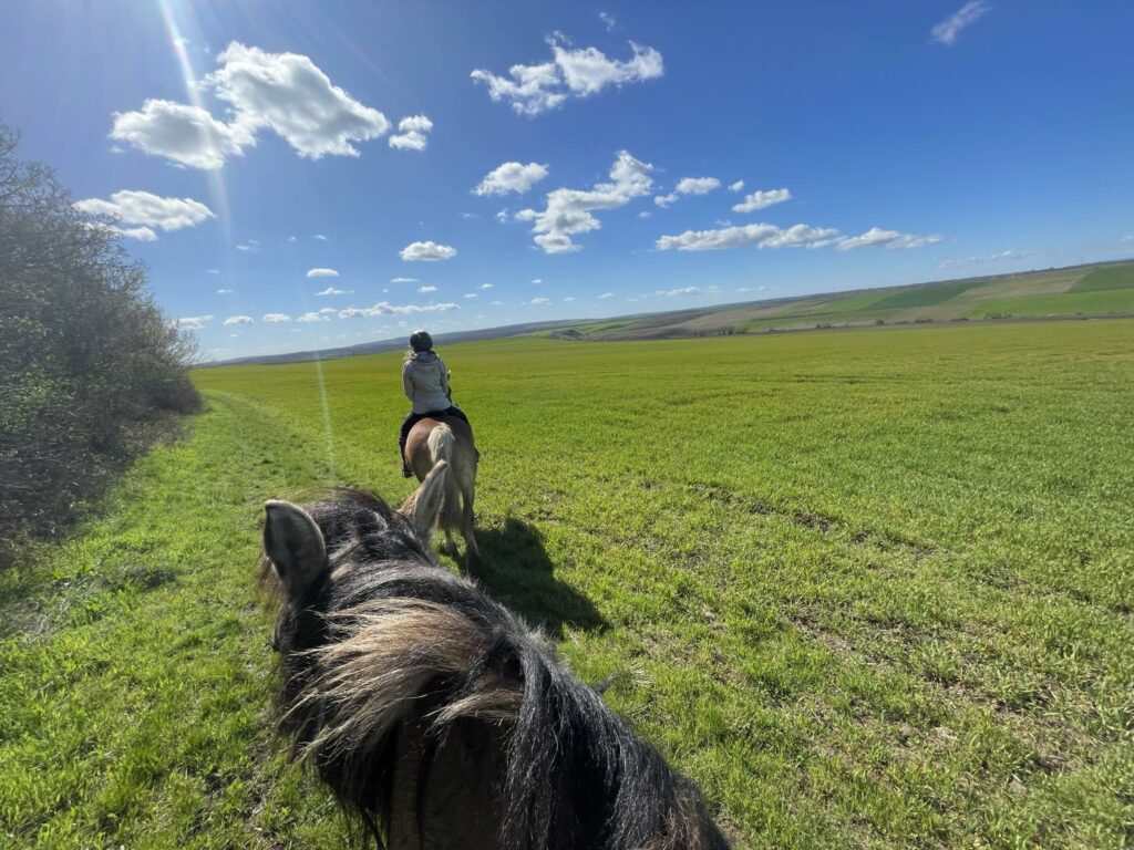 horseriding in nature