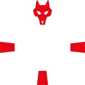 metamor-logo-inverted
