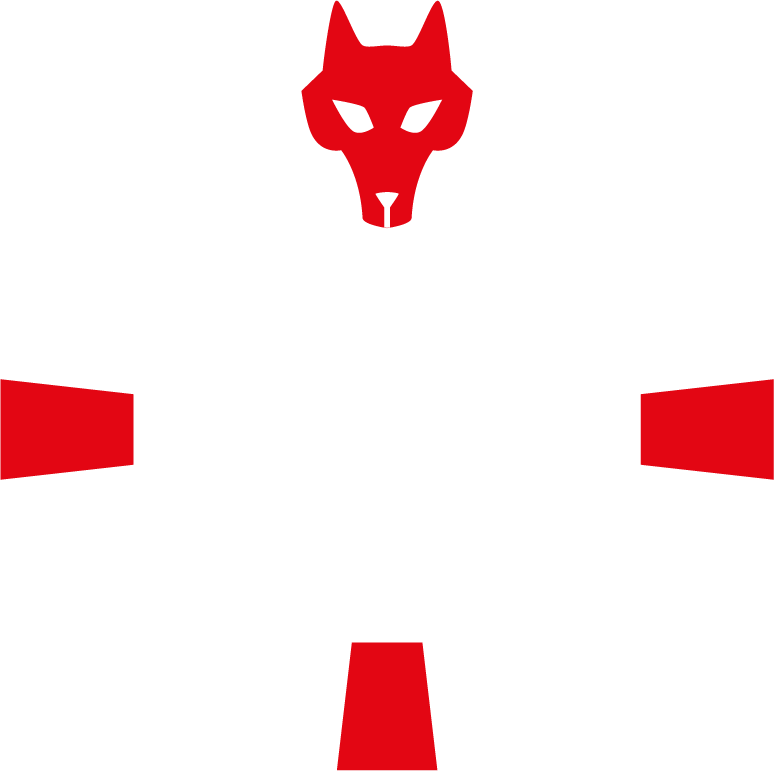 metamor-logo-inverted